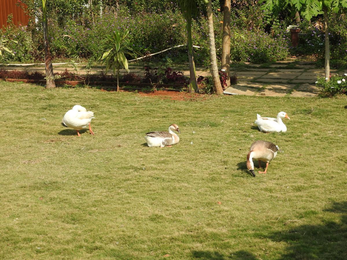 Nature Leap Resort Igatpuri Dış mekan fotoğraf