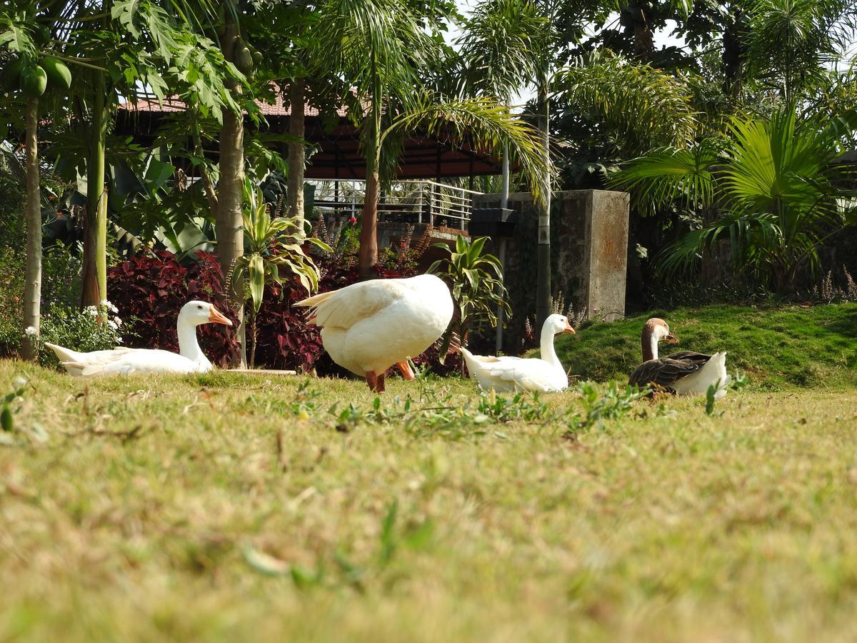 Nature Leap Resort Igatpuri Dış mekan fotoğraf
