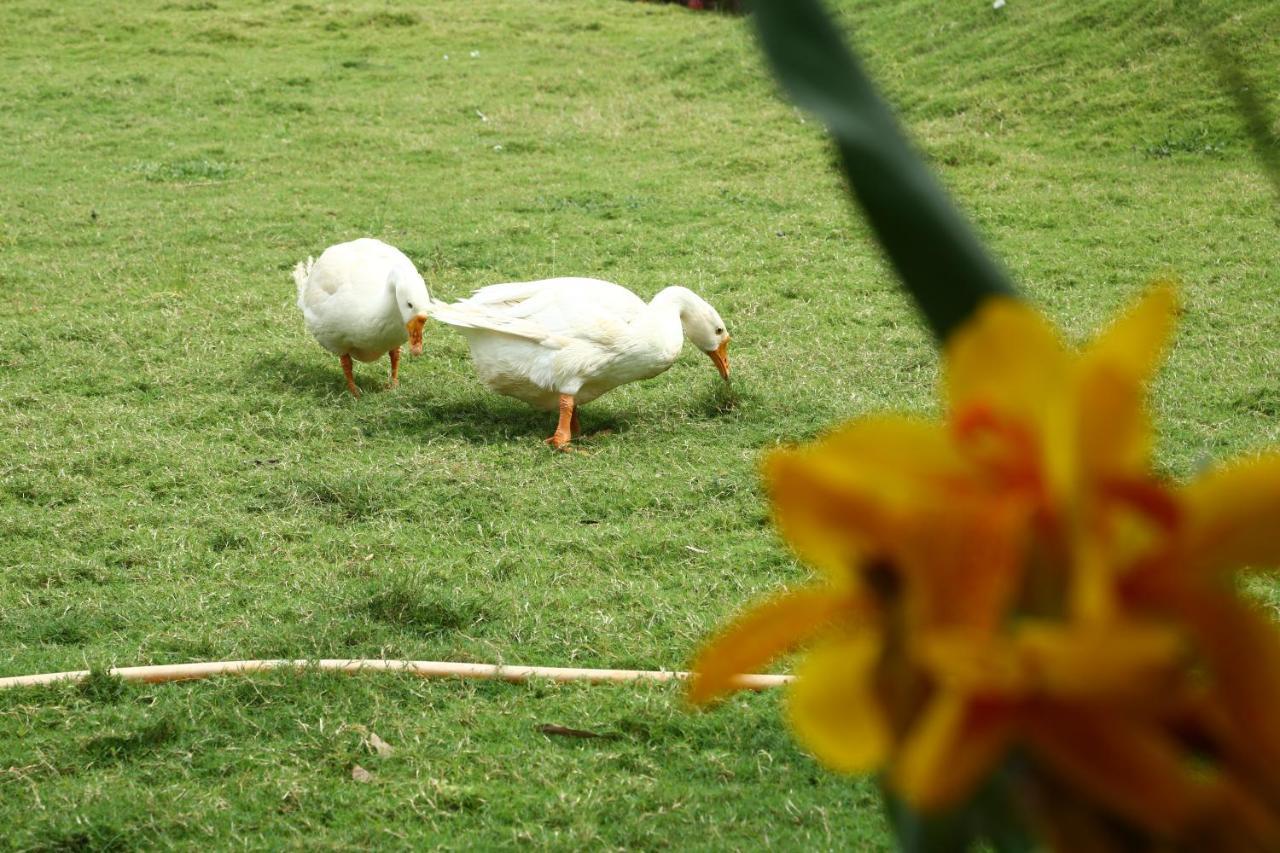 Nature Leap Resort Igatpuri Dış mekan fotoğraf